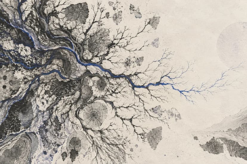 Engraving of a tree seen from above, its branches spreading into fine paths, one traced in blue