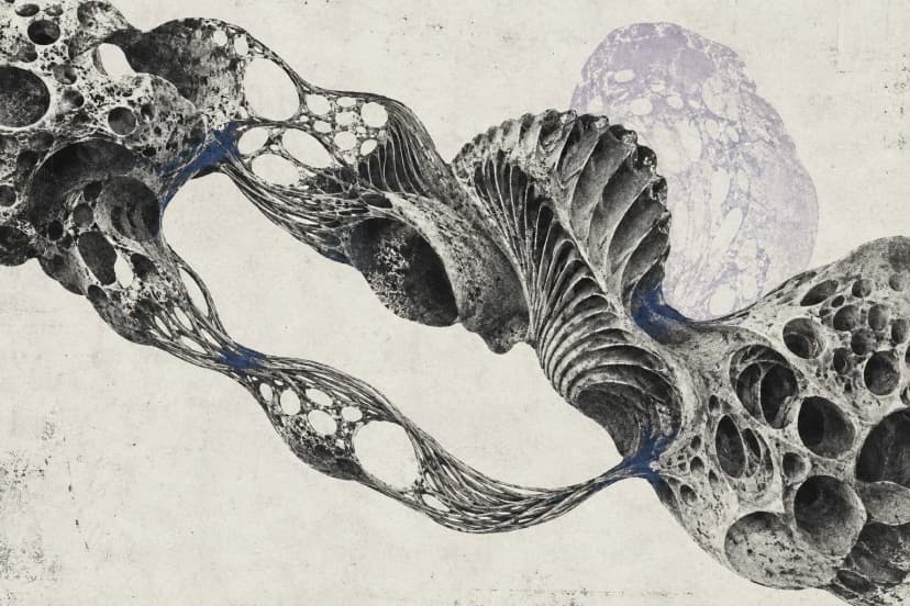 Engraving of a porous, woven form twisting across the page, its strands joining into one continuous structure